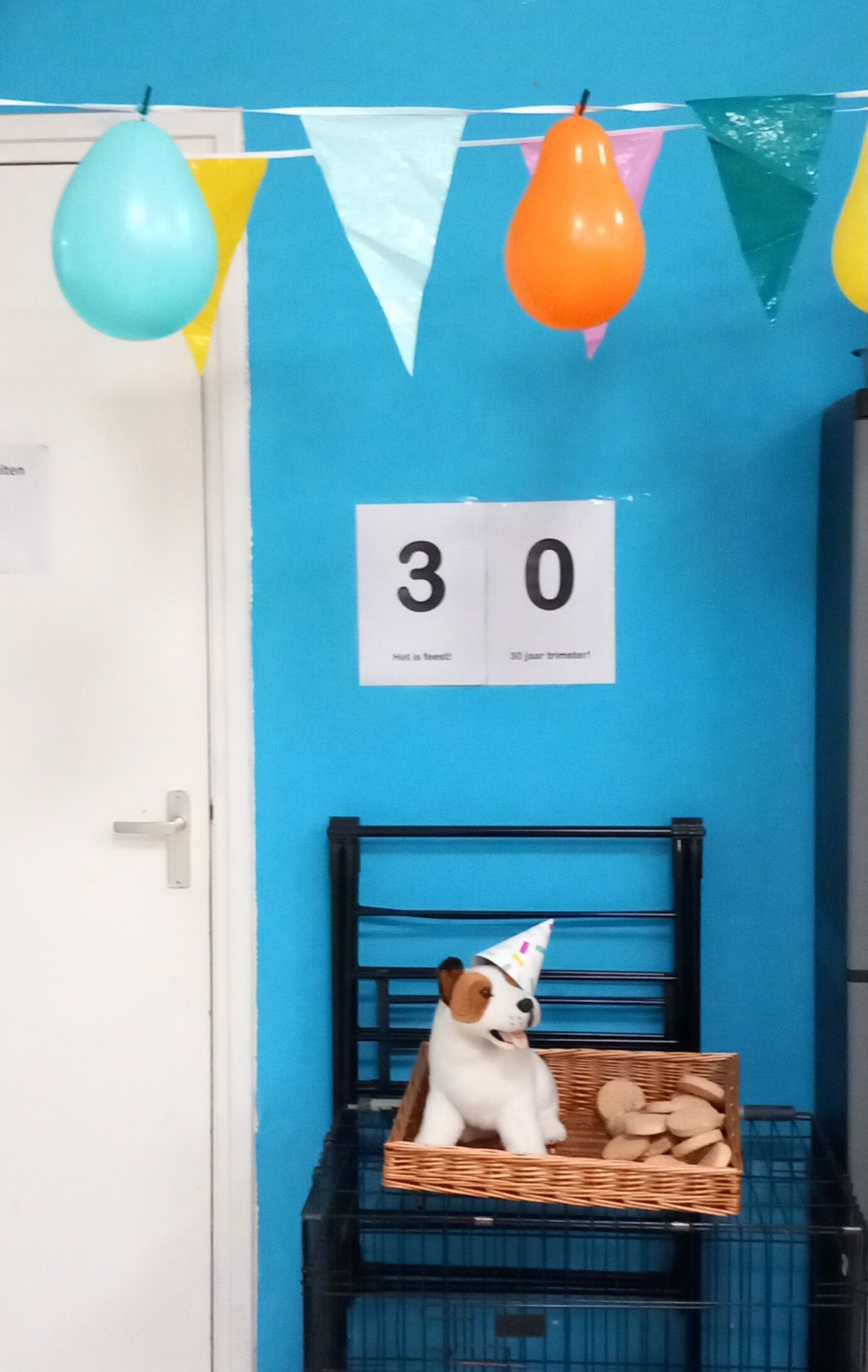 Turquoise muur in de salon met slingers, ballonnen en een bordje: 30 jaar trimster