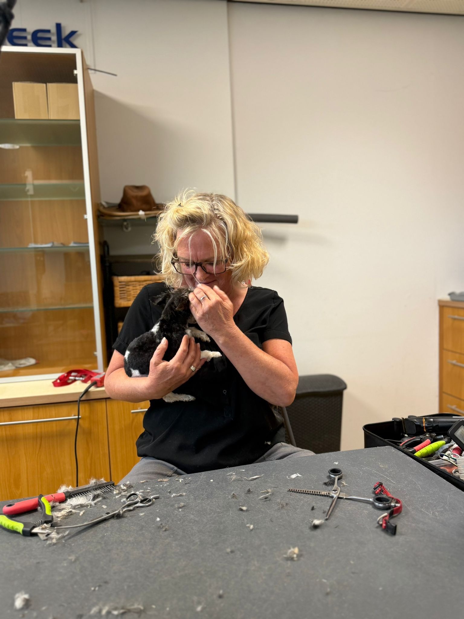 De trimster houdt een klein hondje vast aan de trimtafel