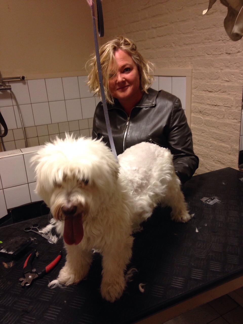 De trimster achter een pluizige witte hond op de trimtafel